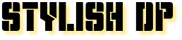 stylishdp